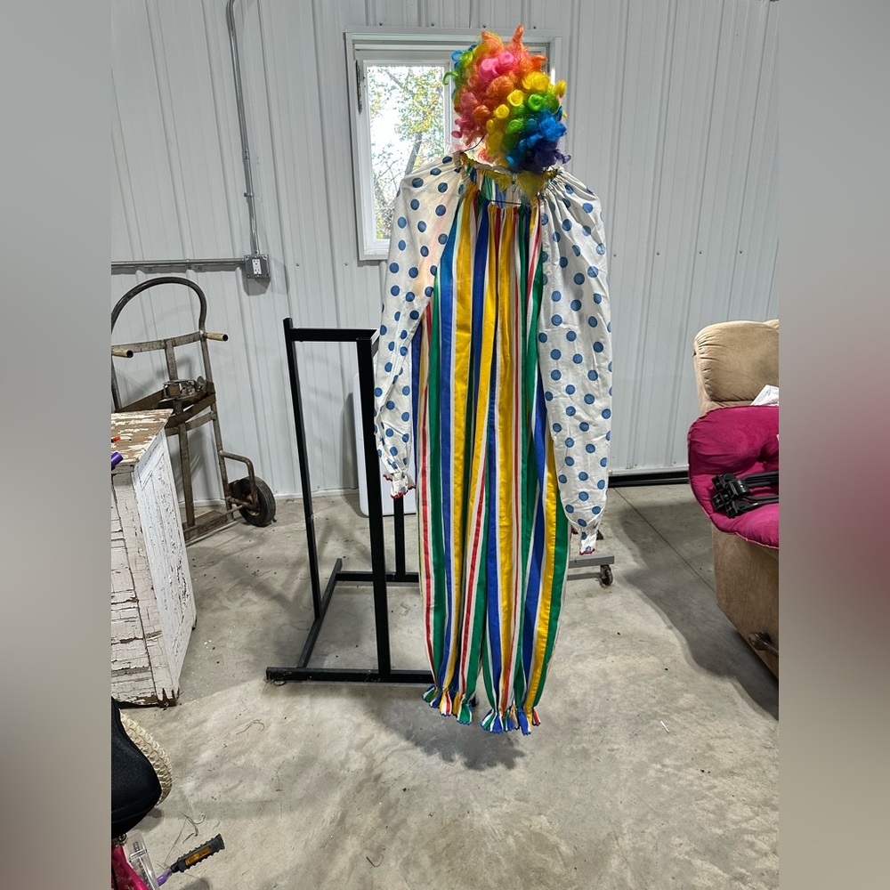 Colorful Clown Costume with Wig